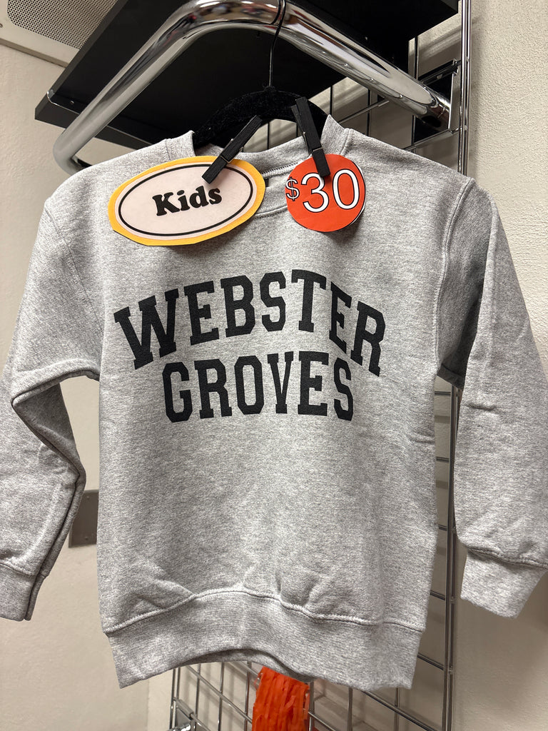 Youth gray Crewneck sweatshirt