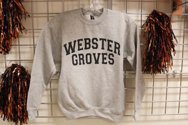 Youth gray Crewneck sweatshirt