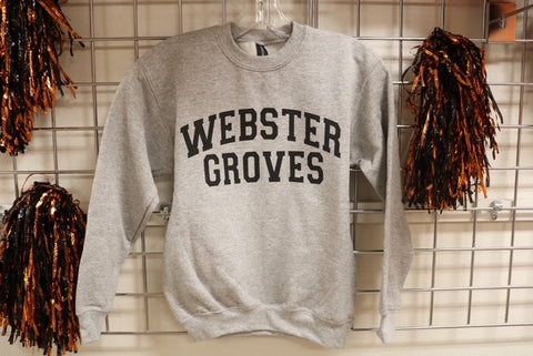 Youth gray Crewneck sweatshirt